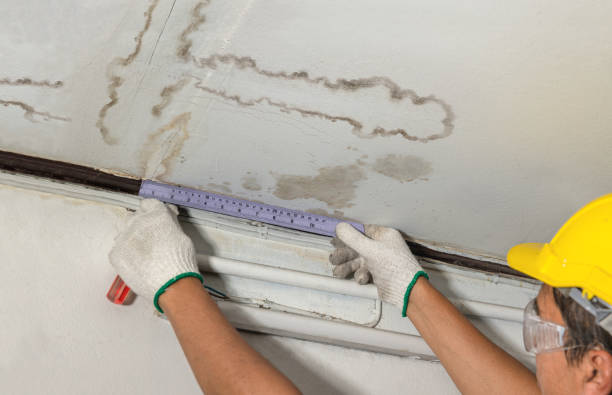 Reliable Burst Pipe Cleanup contractor in Loretto, MN by Water Damage Irwin